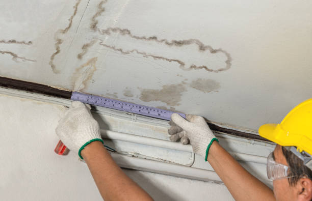 Reliable Mold Remediation contractor in Wixom, MI by Local Water Damage Repair